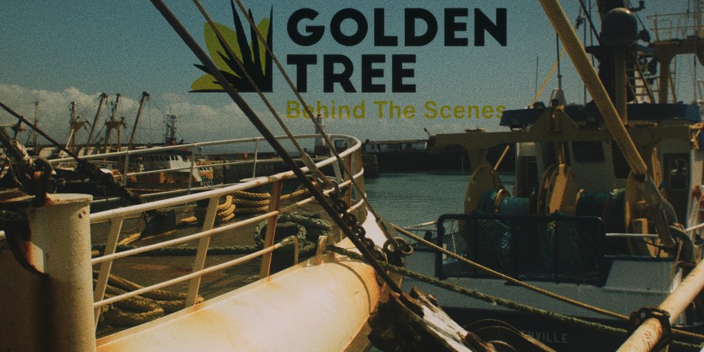 Golden Tree Productions B.T.S Video