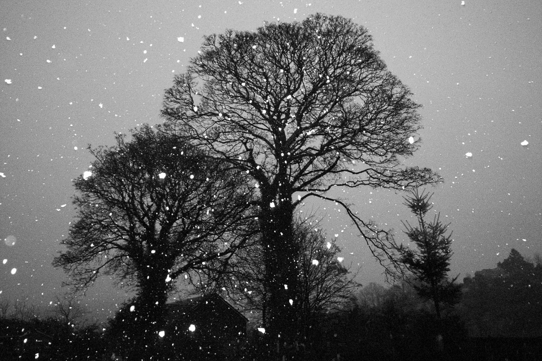 first snow grd1-0011031